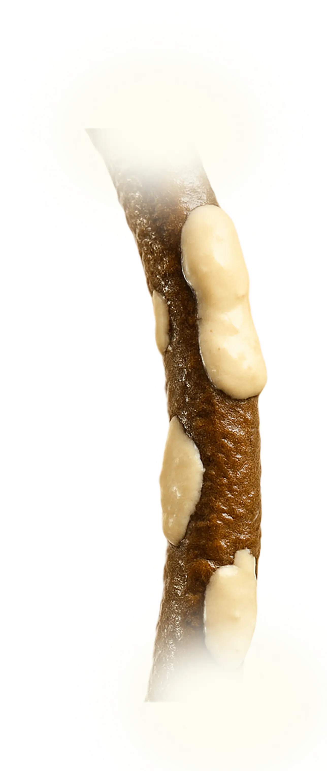 Capello trattato con olio scadente